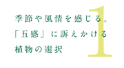 緑耀のこだわり1〜季節と風情を感じる〜