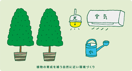 植物の育成を補う自然に近い環境作り